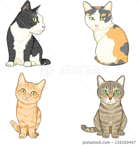 Cats (4 types) Cats (4 types) 138160407