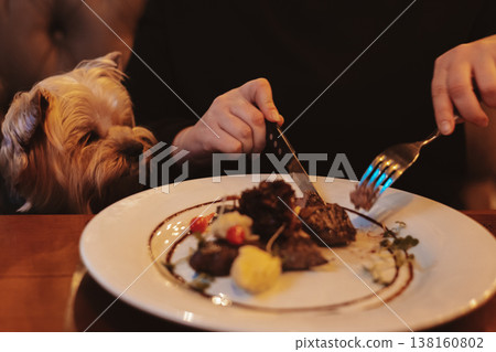 Small dog Yorkshire terrier attentively watching its owner eat gourmet steak at a cozy restaurant table. Pet-friendly dining. Human and pet bond. Small dog Yorkshire terrier attentively watching its owner eat gourmet steak at a cozy restaurant table. Pet-friendly dining. Human and pet bond. 138160802