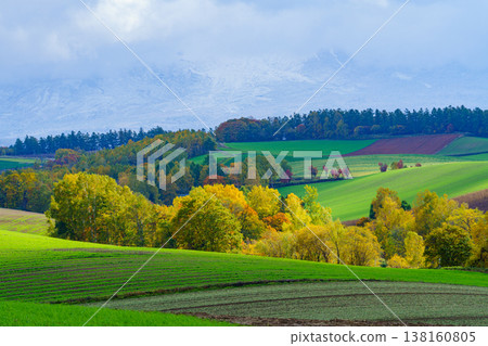 The beautiful rural landscape of Biei and Furano in Hokkaido, woven together by the rolling hills and autumn foliage. 138160805