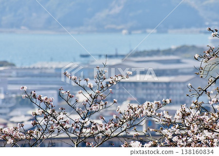 Cherry blossoms blooming near the Star Tower and the coastal townscape Cherry blossoms blooming near the Star Tower and the coastal townscape 138160834