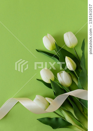 White Tulips with Ribbon on Green Spring Background 138161057