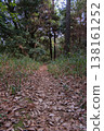 A mountain path covered with fallen leaves, a quiet autumn forest path. 138161252