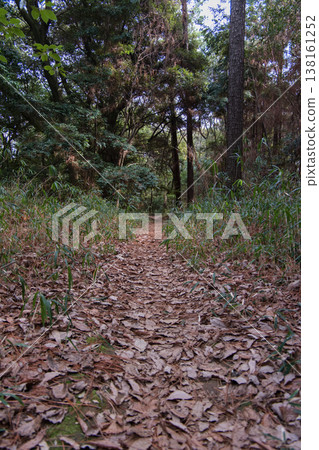 一條鋪滿落葉的山路，一條靜謐的秋日林間小徑。 138161252