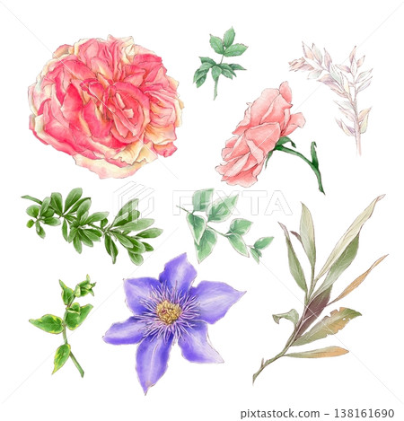 Watercolor illustration of a set of delicate roses and other flowers, hand-drawn. 138161690
