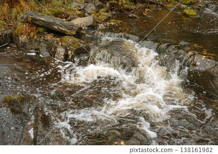 Cascading stream over rocky terrain in serene forest setting 138161982