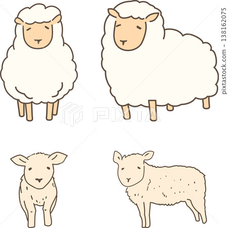 A set of illustrations of sheep and lambs. A set of illustrations of sheep and lambs. 138162075