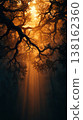 Sunlight rays streaming through ancient twisted branches and canopy for golden forest wallpaper and background design St. Patrick's Day 138162360