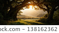 Twin tree arch overlooking sunlit valley at sunrise for landscape background and panoramic wallpaper 138162362