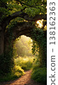 Narrow sunlit forest lane through ancient oak arches for nature wallpaper and poster background highlighting golden morning light and serene scenery 138162363