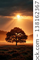 Solitary oak tree at golden sunrise with dramatic sunbeams and misty field background for wallpaper and banner design 138162367