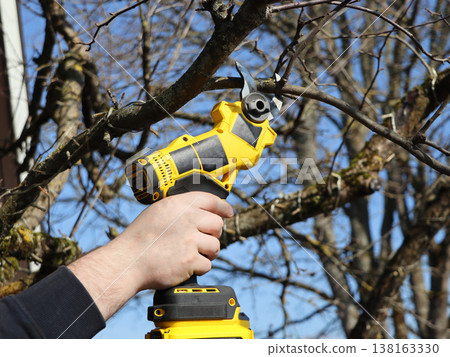 Hand holding electric pruning shears trimming a tree branch Hand holding electric pruning shears trimming a tree branch 138163330