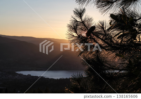 Ponderosa Pine Overlooking Skaha Lake Ponderosa Pine Overlooking Skaha Lake 138165606