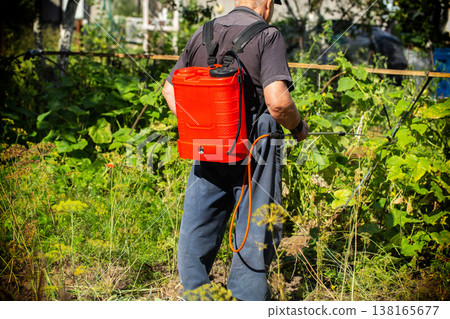 A pensioner with a modern red sprayer treats plants in the summer at his dacha. Increasing yield with succinic acid. Copy space for text, industry 138165677