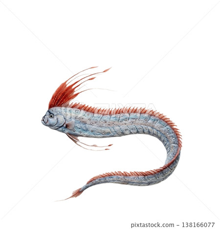 以羊毛藝術風格繪製的皇帶魚。 以羊毛藝術風格繪製的皇帶魚。 138166077