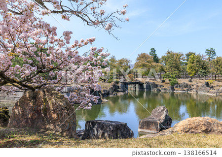 Nijo Castle in Kyoto in Spring: Ninomaru Garden and Cherry Blossoms Nijo Castle in Kyoto in Spring: Ninomaru Garden and Cherry Blossoms 138166514