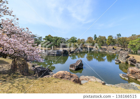 京都二條城的春天:二之丸庭園與櫻花 京都二條城的春天:二之丸庭園與櫻花 138166515