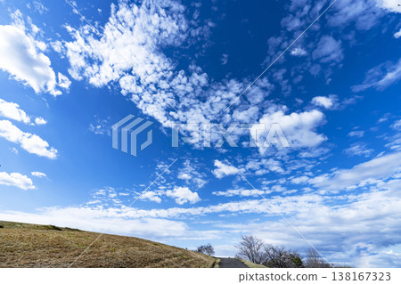 Blue sky, clouds and grove Blue sky, clouds and grove 138167323