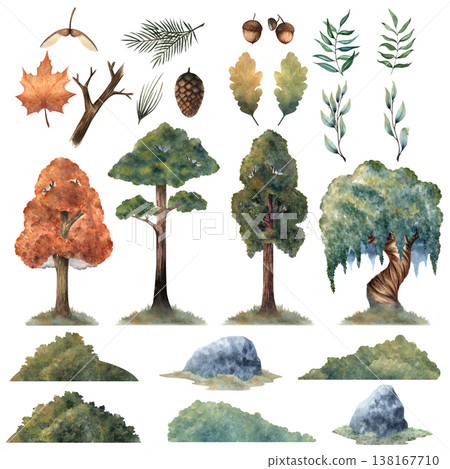 Watercolor forest elements set with trees, leaves, cones, acorns, branches, stones and bushes hand painted botanical collection isolated for nature design, packaging, prints, compositions Watercolor forest elements set with trees, leaves, cones, acorns, branches, stones and bushes hand painted botanical collection isolated for nature design, packaging, prints, compositions 138167710