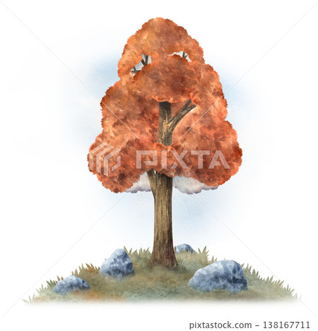 Watercolor autumn maple tree illustration with stones, hand painted landscape composition isolated on white background for fall themes, nature design, seasonal prints, packaging, decorative projects Watercolor autumn maple tree illustration with stones, hand painted landscape composition isolated on white background for fall themes, nature design, seasonal prints, packaging, decorative projects 138167711