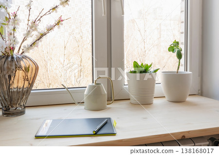 Plants on windowsill with watering can home gardening concept Plants on windowsill with watering can home gardening concept 138168017