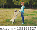 Happy owner woman with Golden Retriever dog in summer park 138168527