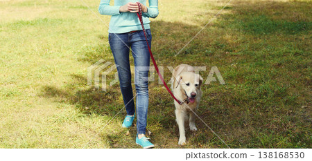 Owner woman walking with her Golden Retriever dog on leash in summer park Owner woman walking with her Golden Retriever dog on leash in summer park 138168530
