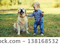 Child and Golden Retriever dog playing together in summer park 138168532
