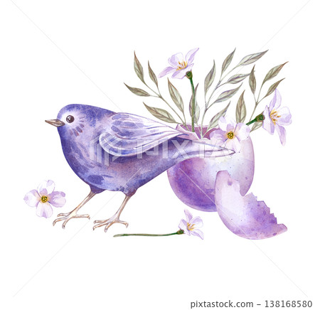 A spring composition with a songbird, a broken egg with branches and white flowers. Watercolor illustration in lilac tones on an isolated background. Festive drawing for Easter holiday decoration A spring composition with a songbird, a broken egg with branches and white flowers. Watercolor illustration in lilac tones on an isolated background. Festive drawing for Easter holiday decoration 138168580