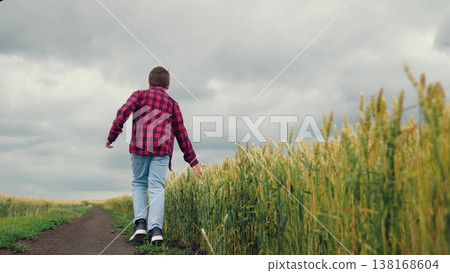 agriculture, child running for boy, Back view boy in grain field, Boy and the wheat horizon, Growing up in rural fields, Childhood memories at harvest, Country boy and golden stalks, Kid running on agriculture, child running for boy, Back view boy in grain field, Boy and the wheat horizon, Growing up in rural fields, Childhood memories at harvest, Country boy and golden stalks, Kid running on 138168604