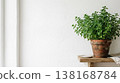 Oregano leaves and white wall interior background material with natural light and copy space 138168784