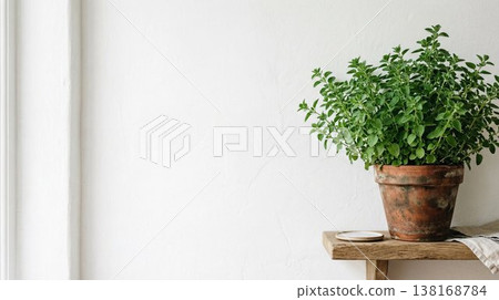 Oregano leaves and white wall interior background material with natural light and copy space 138168784