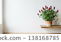 Crimson clover red flowers and white wall interior background material with natural light and copy space 138168785