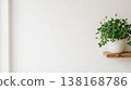 Interior decor background material with white clover flowers and white wall, natural light and copy space. 138168786
