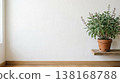 Sage potted plant and white wall interior background material with natural light and copy space 138168788