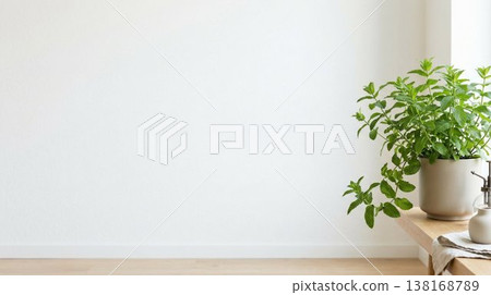 Spearmint leaves and white wall interior background material with natural light and copy space 138168789