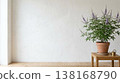 Indoor interior background material featuring a potted Vitex agnus-castus plant against a white wall, with natural light and copy space. 138168790