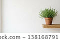 Thyme leaves and white wall interior background material with natural light and copy space 138168791
