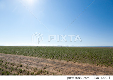 Dirt road in mongolian steppe, Gobi desert landscape, Mongolia Dirt road in mongolian steppe, Gobi desert landscape, Mongolia 138168821