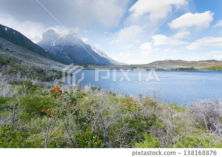 Lake Pehoe view, Torres del Paine, Chile Lake Pehoe view, Torres del Paine, Chile 138168876