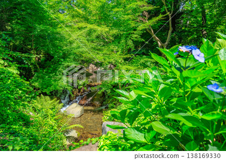 Tokyo, Fuchu City, Fuchu City Local History Museum, Hake no Shita no Nagare 138169330