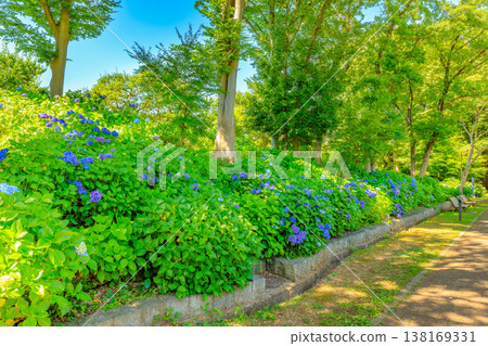 Tokyo, Fuchu City, Fuchu City Local History Museum, Local History Hydrangea Hill 138169331
