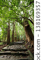 Stone-paved path: Kumano Kodo 138169357