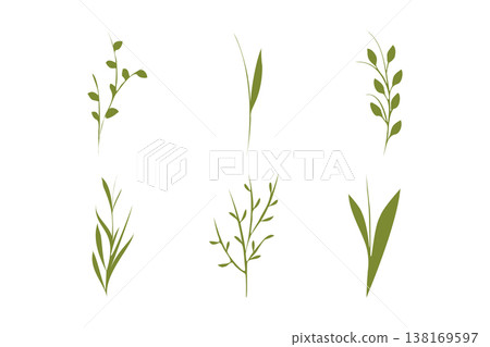 Six unique illustrations of simple green plant stems and leaves are presented. Six unique illustrations of simple green plant stems and leaves are presented. 138169597