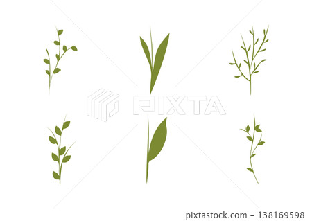 Six distinct green plant stems with small leaves are featured, showcasing various botanical forms. These graphic elements are rendered in a minimalist style, suggesting natural growth and freshness. 138169598