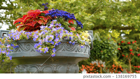 Colorful flowers in a pot placed in a garden during daytime at a local park with greenery surrounding it 138169755