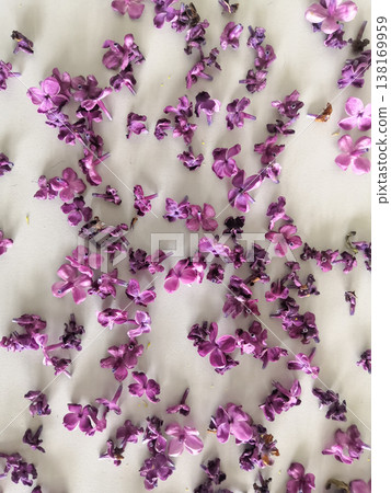 Delicate scattered purple lilac flowers and petals creating a beautiful floral pattern on a light surface Delicate scattered purple lilac flowers and petals creating a beautiful floral pattern on a light surface 138169959
