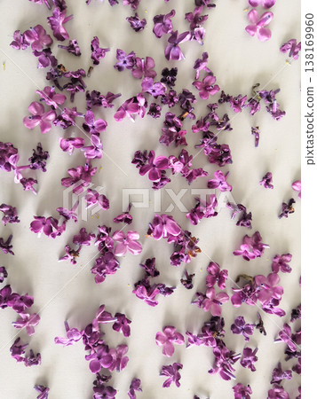Delicate scattered purple lilac flowers and petals creating a beautiful floral pattern on a light surface Delicate scattered purple lilac flowers and petals creating a beautiful floral pattern on a light surface 138169960