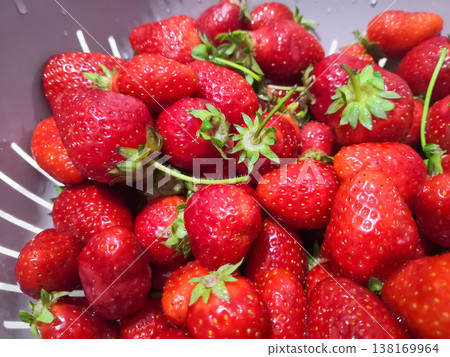 Fresh ripe red garden strawberries with green stems and water drops in a purple colander 138169964
