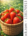 Freshly picked! Farm-grown strawberries 138170913