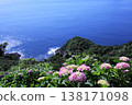 海景與繡球花 138171098